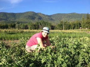 Valerie Maier participates in early morning harvesting at Sorrento Centre Farm